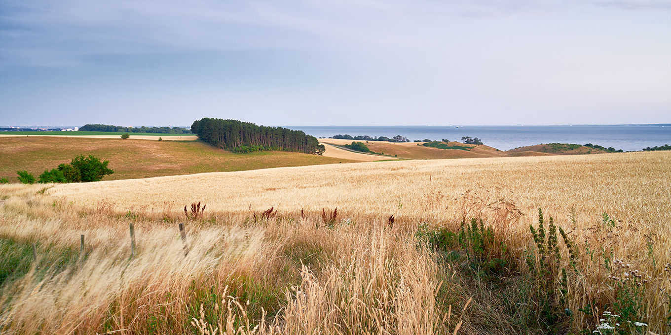 Skånes landskap