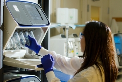 ISO/IEC 17025:2018 byts ut för medicinska laboratorier