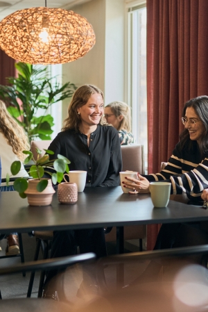 Spännande juridik i statens tjänst