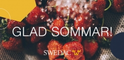 Swedacs sommarspecial: Tivoli, dricksvatten och badleksaker