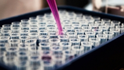 Årets labbdagar lärorika