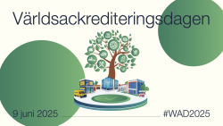 Mindre företag i fokus – så firas Världsackrediteringsdagen